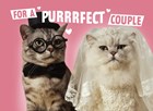 for a purrrfect couple